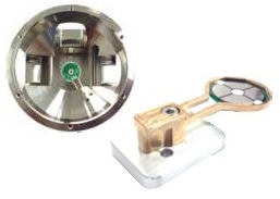 Removable BSE Detector