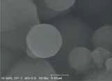 ACC.Voltage: 20 kV / SE Image / Mag: x50,000