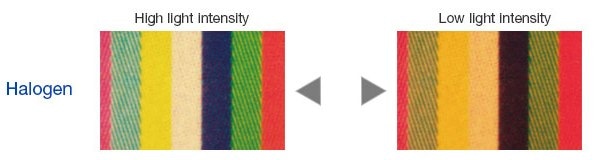 Color varies with light intensity.