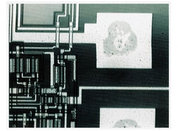 IR image of an electrode section