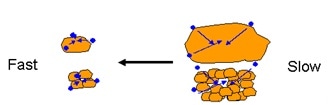 The effect of particle and sample size on moisture diffusion kinetics.