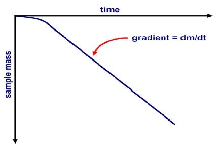 A schematic form of Knudsen mass vs time data