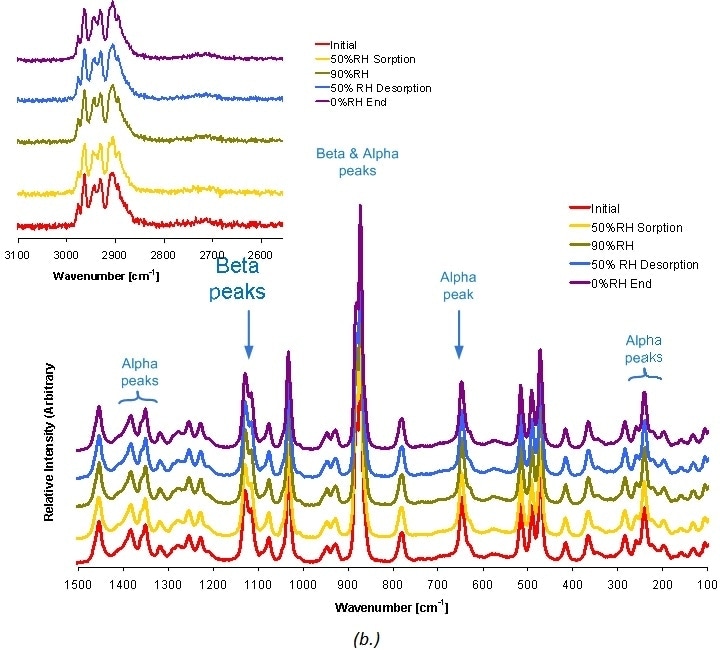 DVS water sorption and desorption cycle