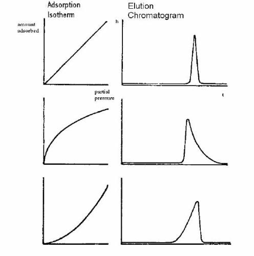 Correlation of peak form and sorption isotherm for finite and infinite dilution.