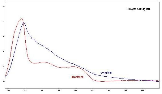 Overlay of flavoprotein crystal absorbance spectra at short and longer term exposure to oxygen.