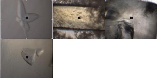 Crystal images