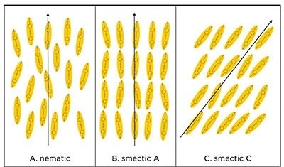 Diagram showing the arrangement of mesogen molecules within liquid crystal types. Liquid crystal forms exhibit directional alignment of their molecules and are anisotropic. (A) Nematic liquid crystal showing orientational order, (B) smectic A liquid crystal form, and (C) smectic C liquid crystal form. B and C possess orientational and positional order.