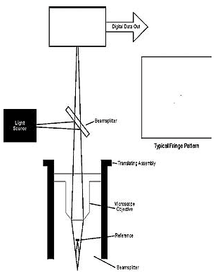 In a typical optical profiler, a digital camera records fringes that result from reflections off a test surface and a reference surface. The system computer converts these fringes into high resolution topographic information.
