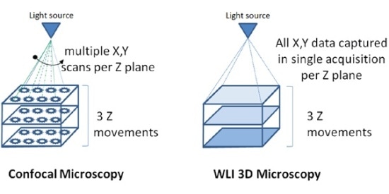 Diagram outlining different scanning techniques utilized by confocal microscopes and 3D microscopes.