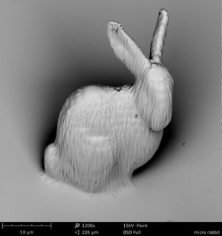 A SEM image of a 3D printed rabbit. SEM was used to investigate the object for defects.