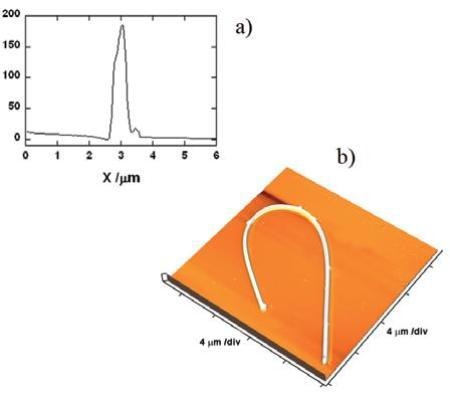 Cross section (a) and atomic force microscopy topographical image (b) of the [001] GaN nanowire deposited on a glass substrate.