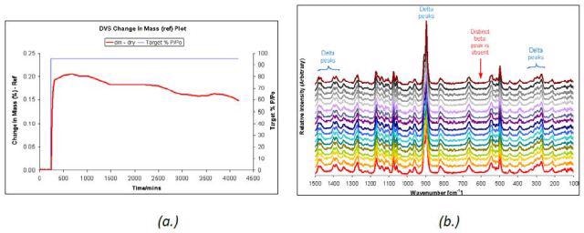 DVS water sorption at 95% RH (a.) and Raman spectra (b.) taken at 5-hour intervals for d D-mannitol.