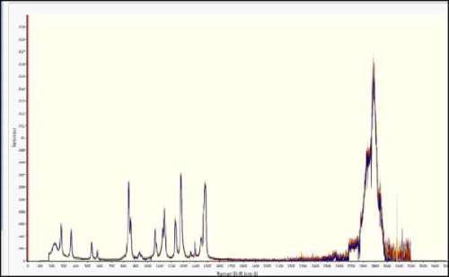 Raman spectra of four similar polyethylene oxides samples