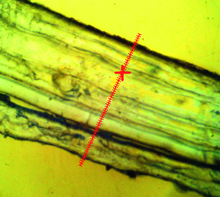 Transmission image of a polymer laminate film on a salt window (BaF2)