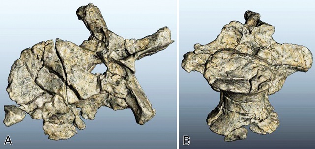 Dinosaur Fossils Recreated Using 3D Printing