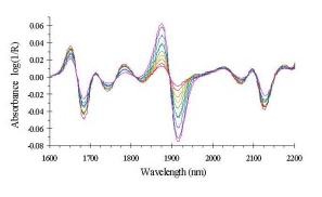 Second derivative spectra corresponding to the absorption spectra of Figure 4.