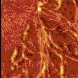 Zoom-in, 1,5µm x 1,5µm.