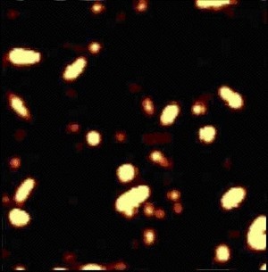 Different carbon nanotubes are visible, depending on the polarization of light. Polarization plain in Fig. 10 (bottom) is rotated by 90°.