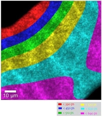 Temporal start of the luminescence emission.