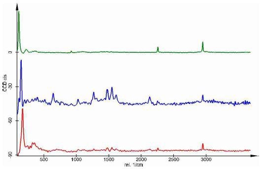 Typical Raman Spectra found in the border region of the dye solar cell.