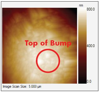 Topographical SPM image of a solder bump prior to testing with the target test location indicated by the circle.