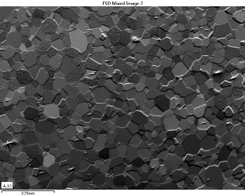 Forescatter detector image