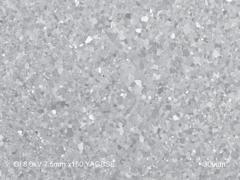 SEM BSE image after ion milling