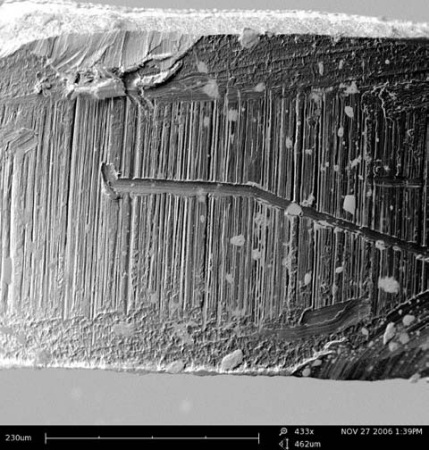 BSE imaging in topographical mode