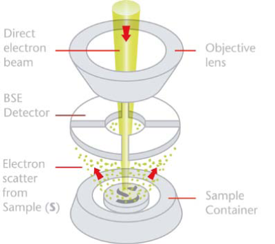 Schematic representation of the Phenom detection system in compositional (full) mode