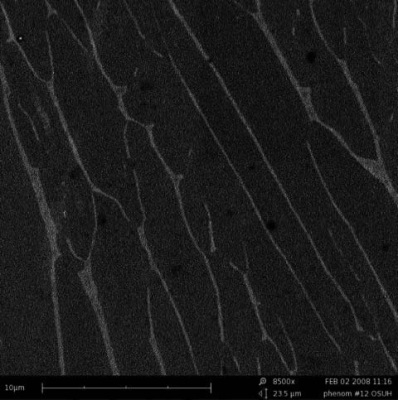 BSE Mode of ß-processed Ti-6-4