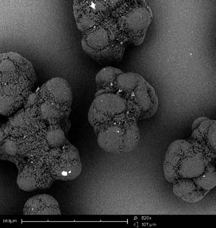 UHMWPE powder particles