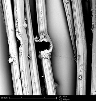 Damaged UHMWPE fibers