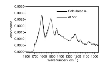 ATR spectrum of a single fiber recorded at 55° and the orientation-independent spectrum A0 calculated from the 0° and 90° spectra.