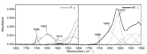 Spectral decomposition of the experimental spectra of a single B. mori silkfiber recorded at 0° and 90°