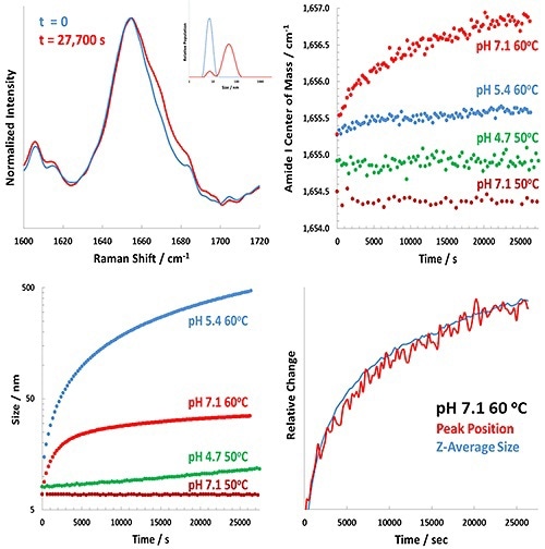 Representative results for the Raman-DLS study of BSA at various pH values.