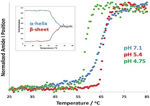 Protein transition curves as a function of temperature for formulations at pH 7.1 (blue), pH 5.4 (red), and pH 4.7 (green). The a-helix to ß-sheet conversion is shown as an inset for the pH 4.7 results.