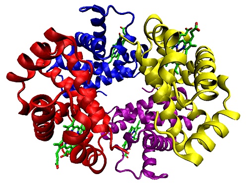 An Introduction To Proteins