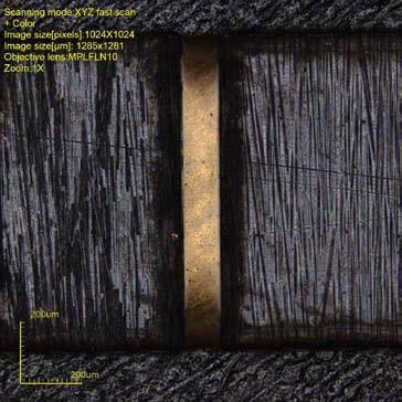 Carbon Hinge. OLS 4000 Laser confocal mode with color overlay.