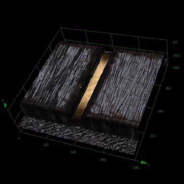 Carbon Hinge. OLS 4000 Laser confocal mode, 3D.