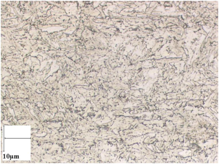 Photomicrograph of CP 800/1000 hot rolled steel