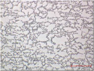 Micrograph of TRIP 690 steel