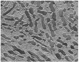 Photomicrograph of DP steel.