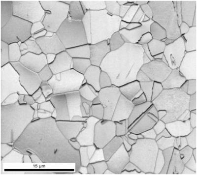 Photomicrograph of TWIP steel as annealed.