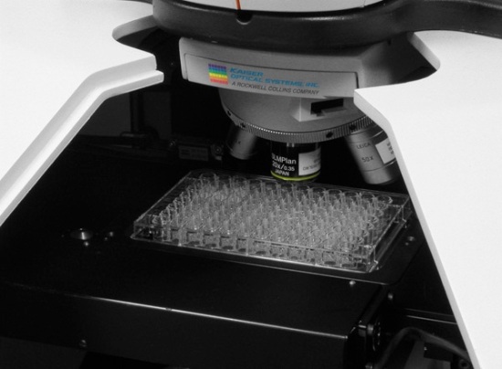 Raman-Based High-Throughput Screening for Version and Polymorph ...