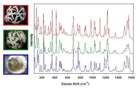 Identification of Polymorphs