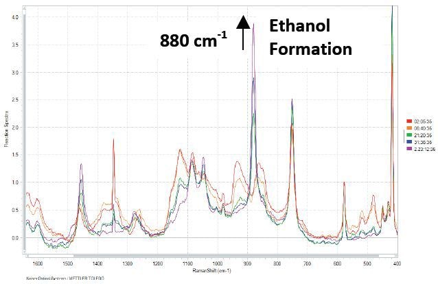 Raman spectra of fermentation process