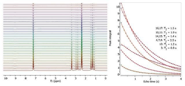 Proton T2 relaxation time measurement of 200 mM lidocaine in CDCl3.