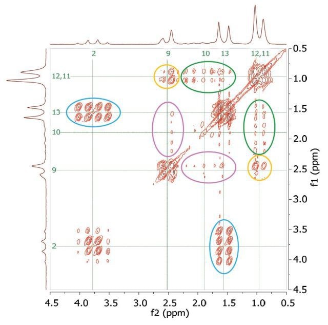 COSY spectrum of 200 mM ibuprofen in CDCl3. The cross-peaks and corresponding exchanging protons are labeled by colour-coded arrows and ellipses.