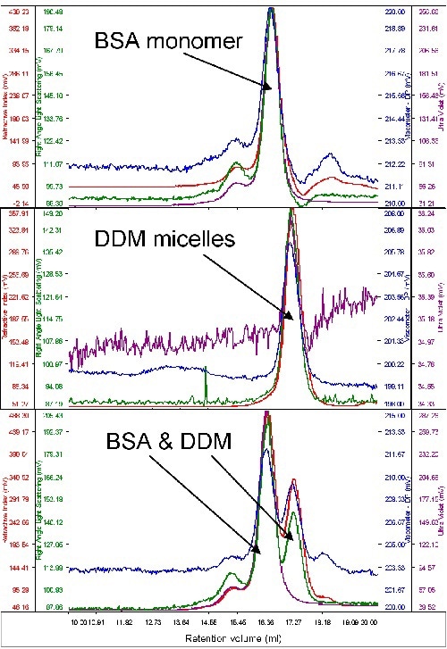 From top to bottom, chromatograms of BSA, DDM and a mixture of the two.