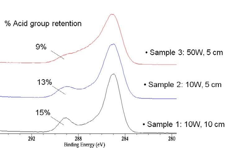 C 1s spectra of the ppAA as introduced surface.